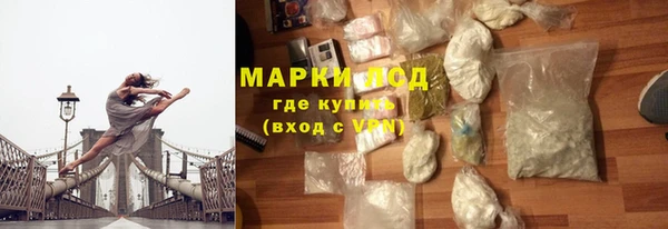 хмурый Алексин