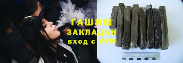 хмурый Алексин