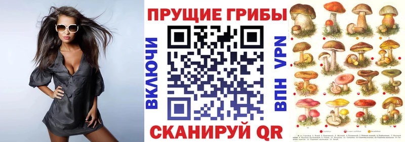 Галлюциногенные грибы ЛСД  Обнинск 